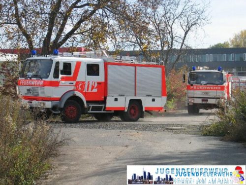 pic002260